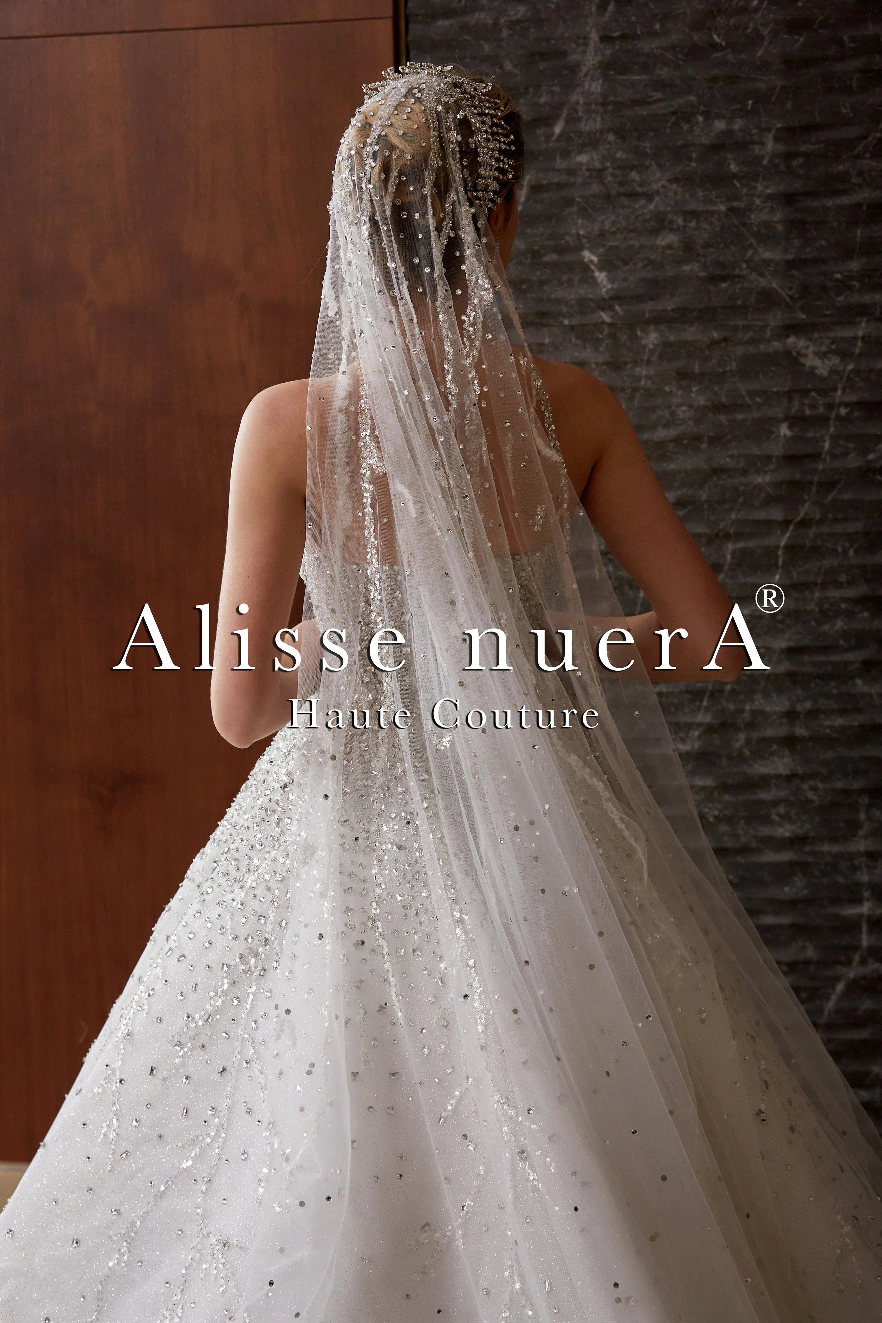 Sparkle Strapless Princess Wedding Dress with Rhinestone Embellished Long Veil - Alisse Bridal Snow/Winter-Diamond White / Stone - Lace - Tulle / 24 Sparkle Strapless Princess Wedding Dress with Rhinestone Embellished Long Veil - Alisse Bridal Snow/Winter-Diamond White / Stone - Lace - Tulle / 24