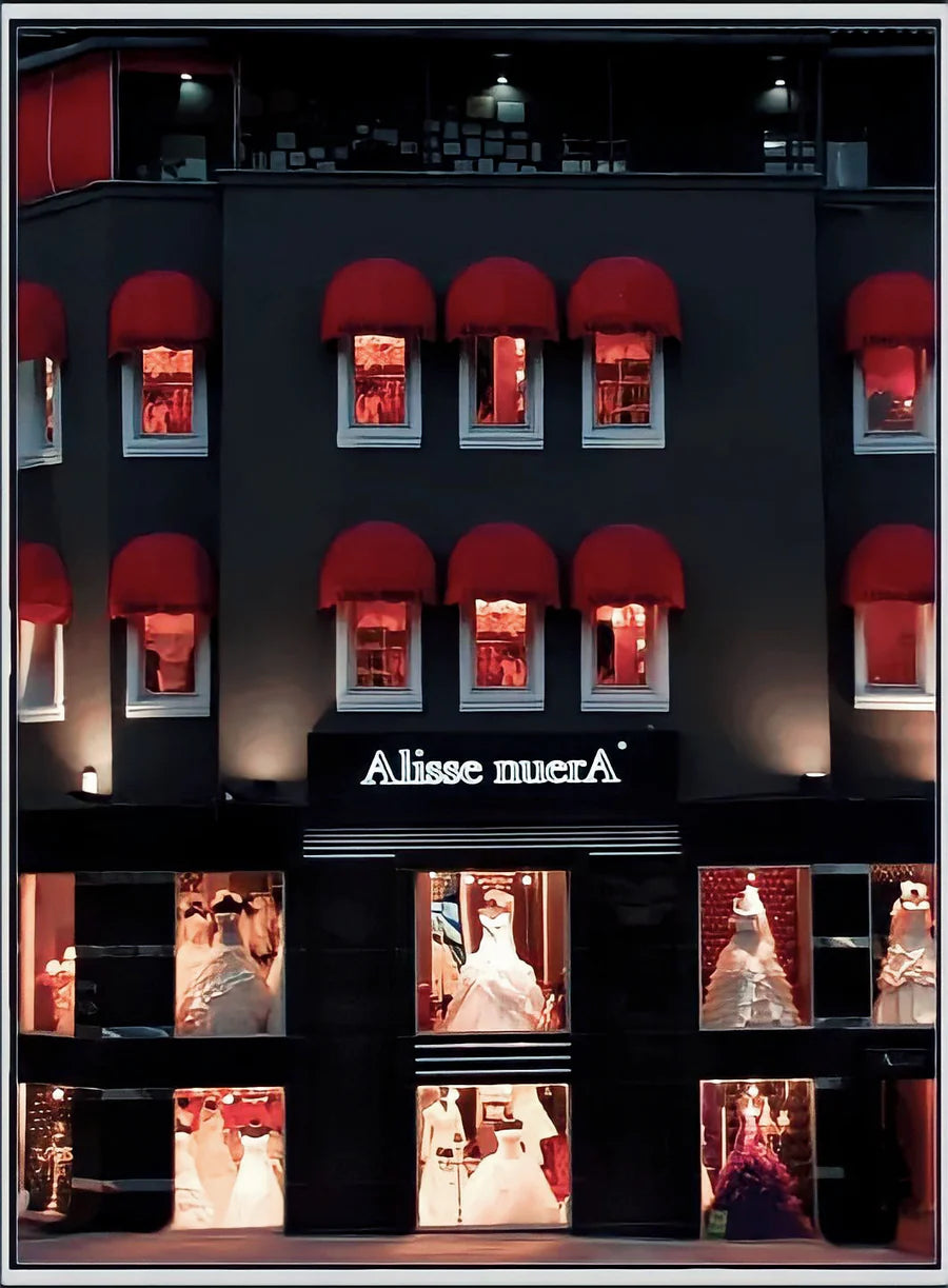 Alisse nuerA Wedding Dress Stores